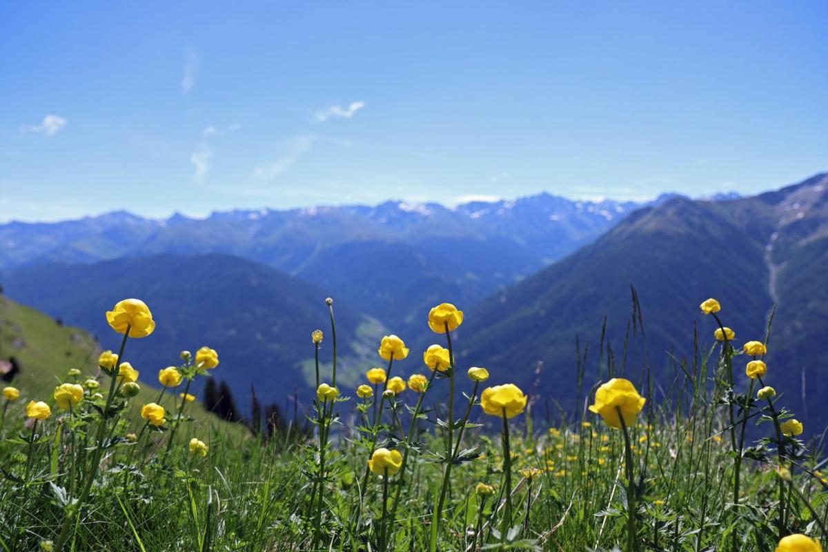 Pension Fuchs Pfunds Esterno foto