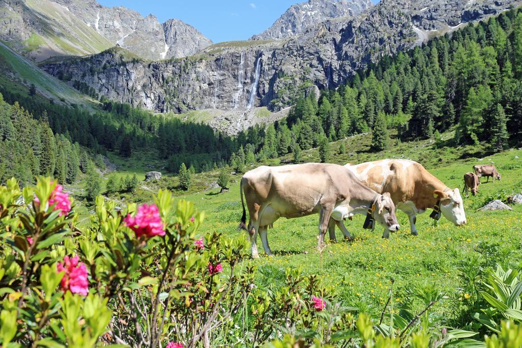 Pension Fuchs Pfunds Esterno foto